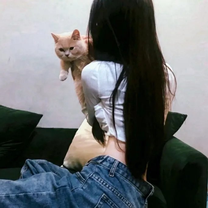 不知羞耻