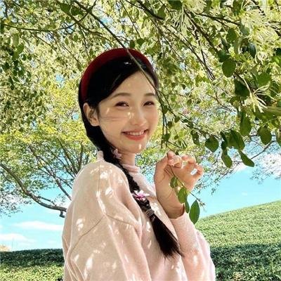 追影行动